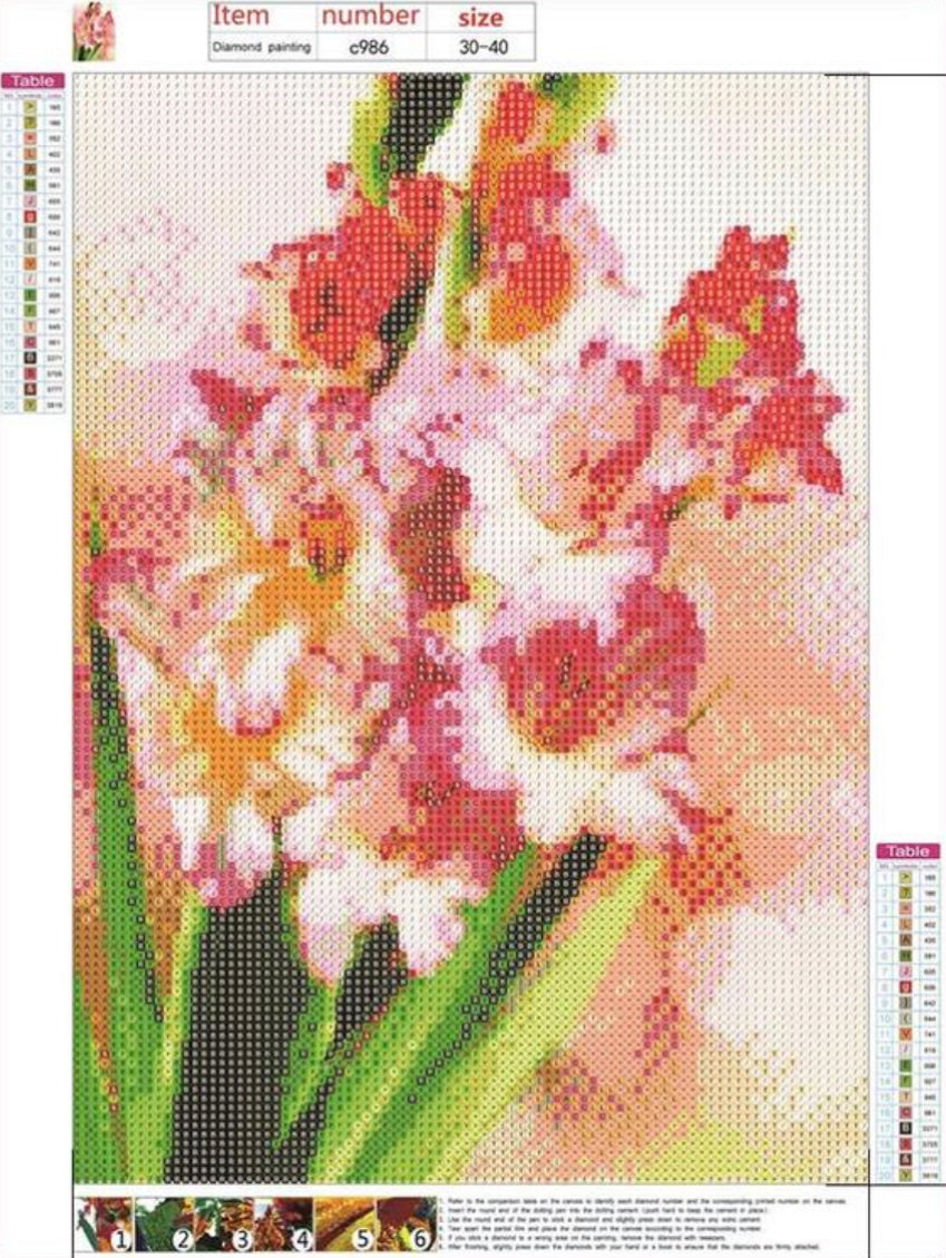 BEAUTIFUL GLADIOLUS FLOWERS - Full Drill Diamond Painting - 30cm x 40cm