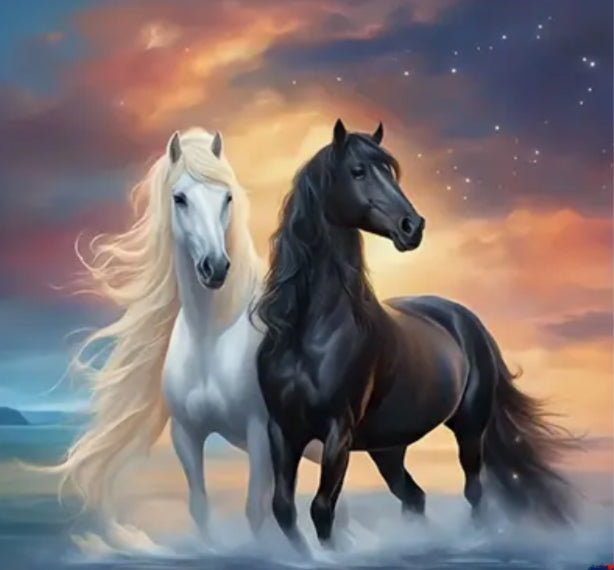 BLACK & WHITE BEAUTY - Full Drill Diamond Painting - 35cm x 35cm