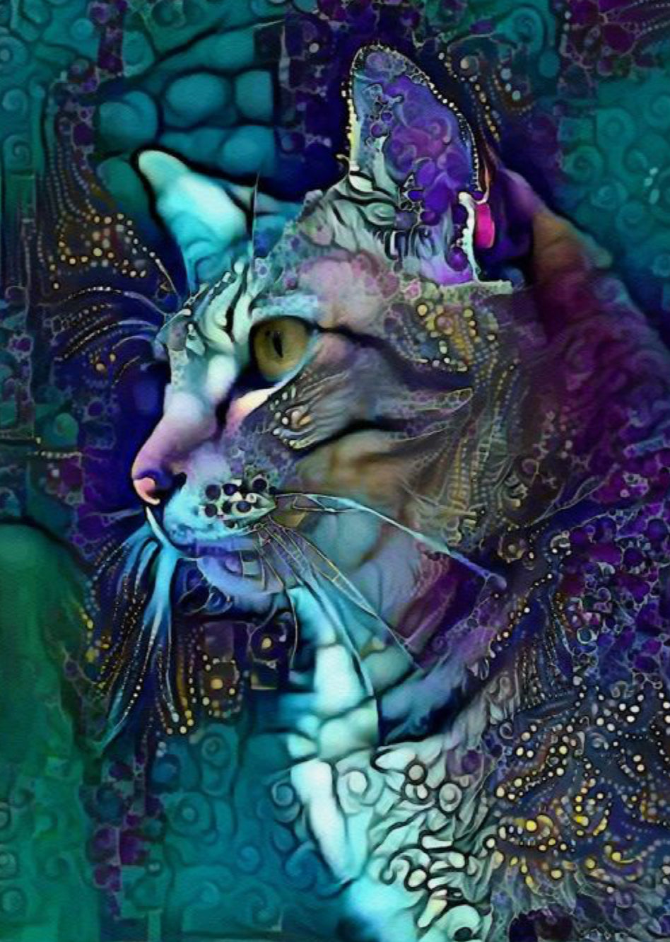 ABSTRACT CAT - Full Drill Diamond Painting - 50cm x 60cm