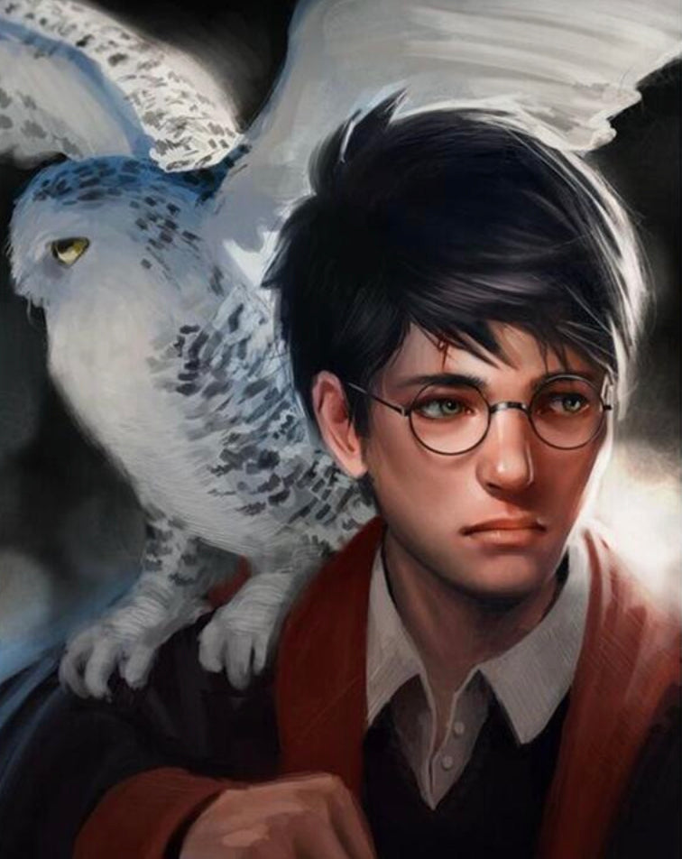 HARRY & HEDWIG - Full Drill - 30cm x 40cm