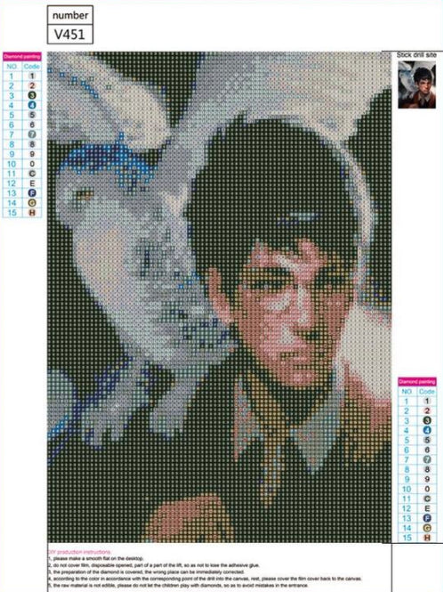 HARRY & HEDWIG - Full Drill - 30cm x 40cm