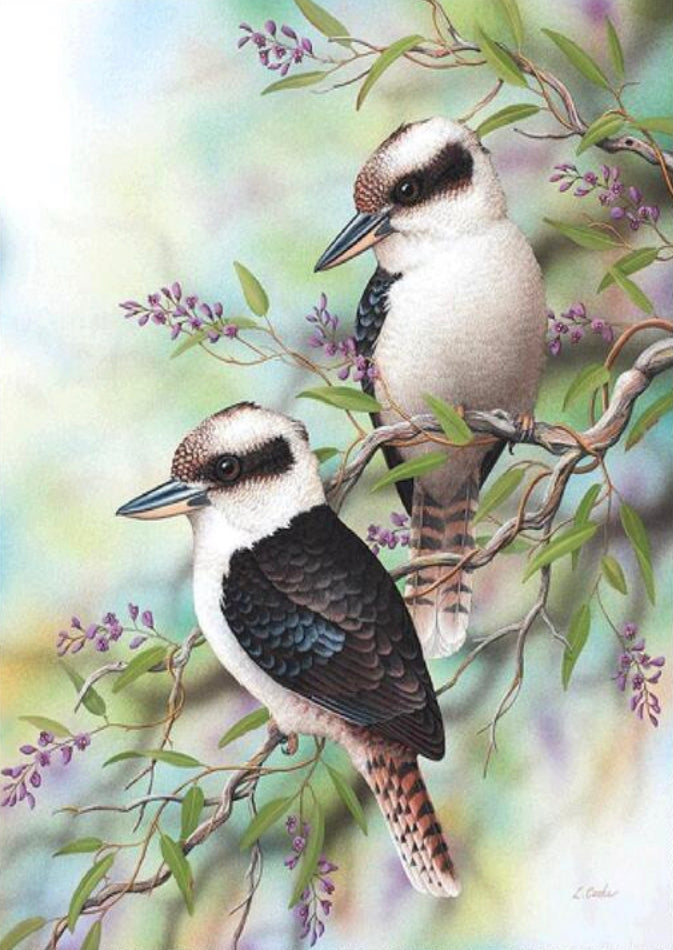 KOOKABURRA’S SIT IN THE OLD GUM TREE - Full Drill Diamond Painting - 40cm x 50cm