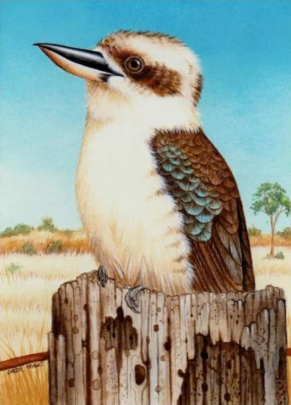 KOOKABURRA SITS ON THE OLD TREE STUMP - FULL Drill Diamond Painting - 30cm x 40cm