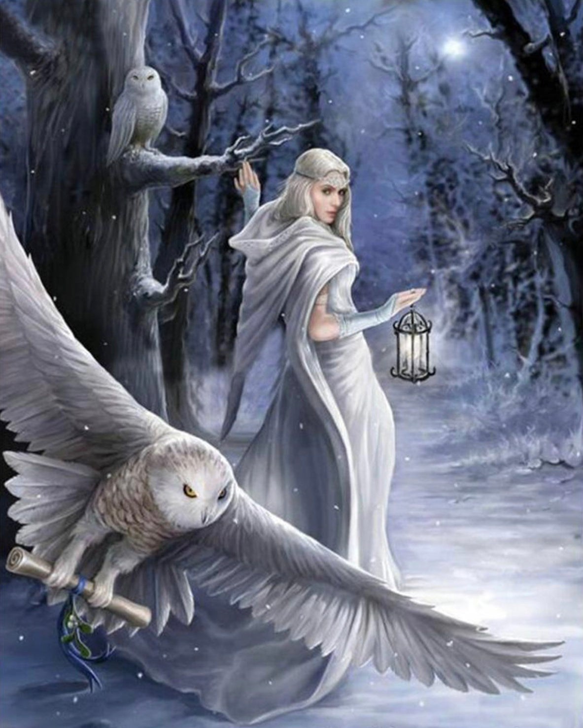 MESSENGER OWL - Full Drill - 25cms x 35cms