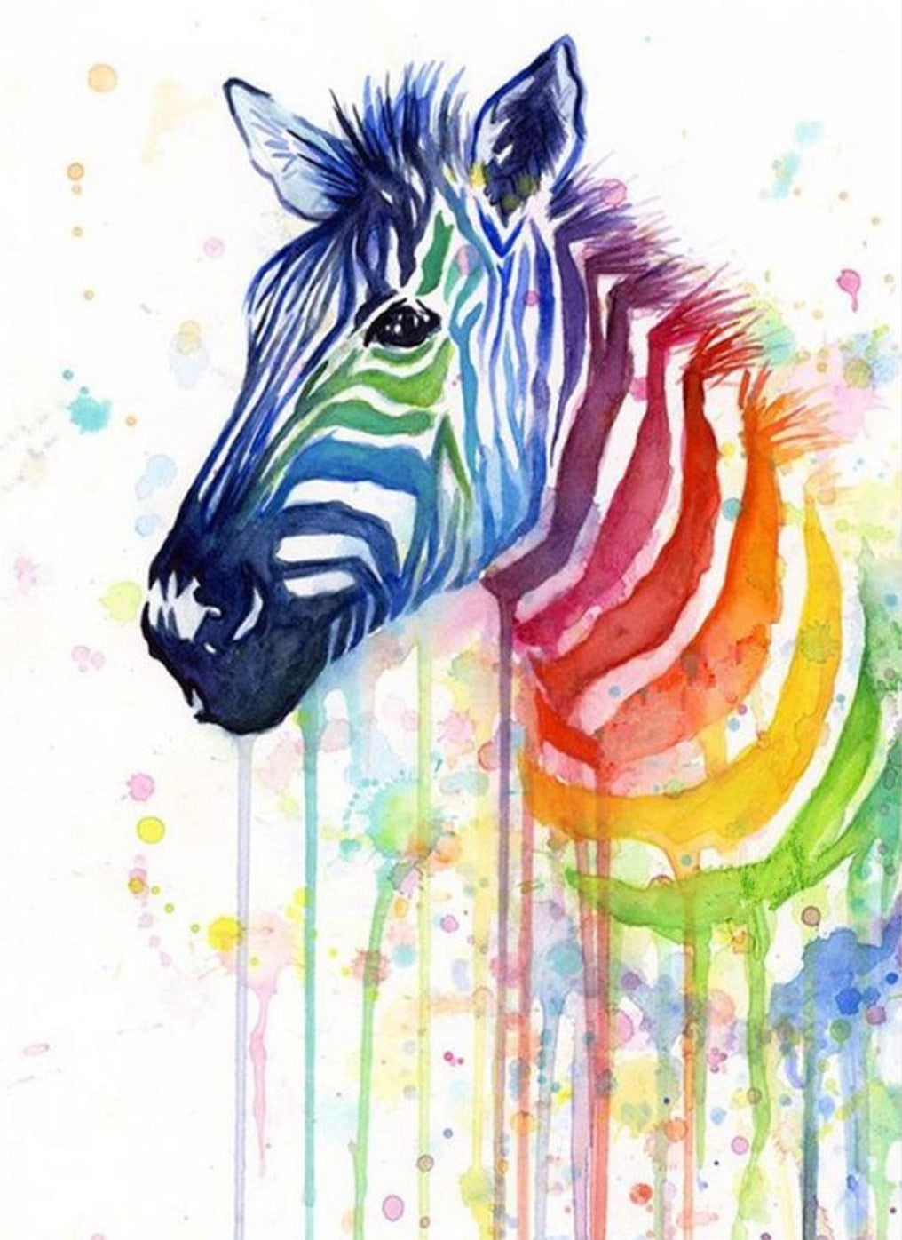 WATERCOLOUR ZEBRA - FULL Drill Diamond Painting - 30cm x 40cm