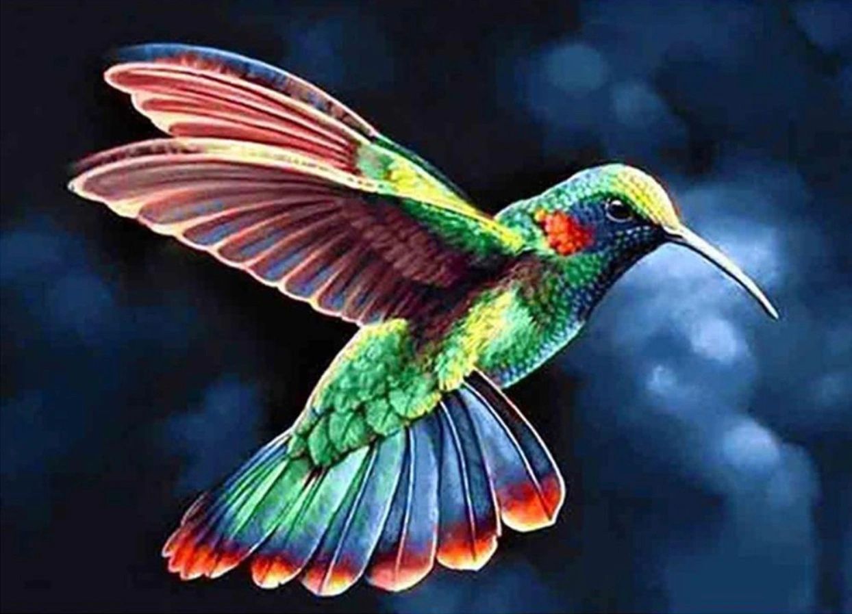 RAINBOW HONEYSUCKLE - Full Drill Diamond Painting - 35cm x 25cms