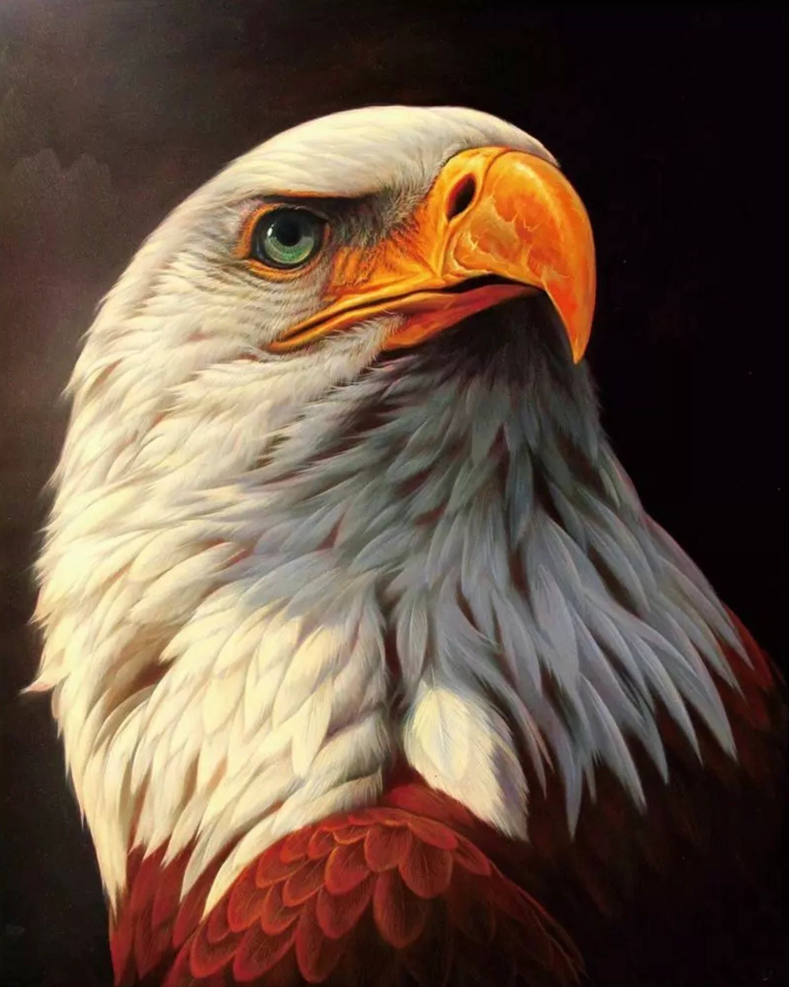 REGAL EAGLE - Full Drill Diamond Painting - 20cm x 30cm