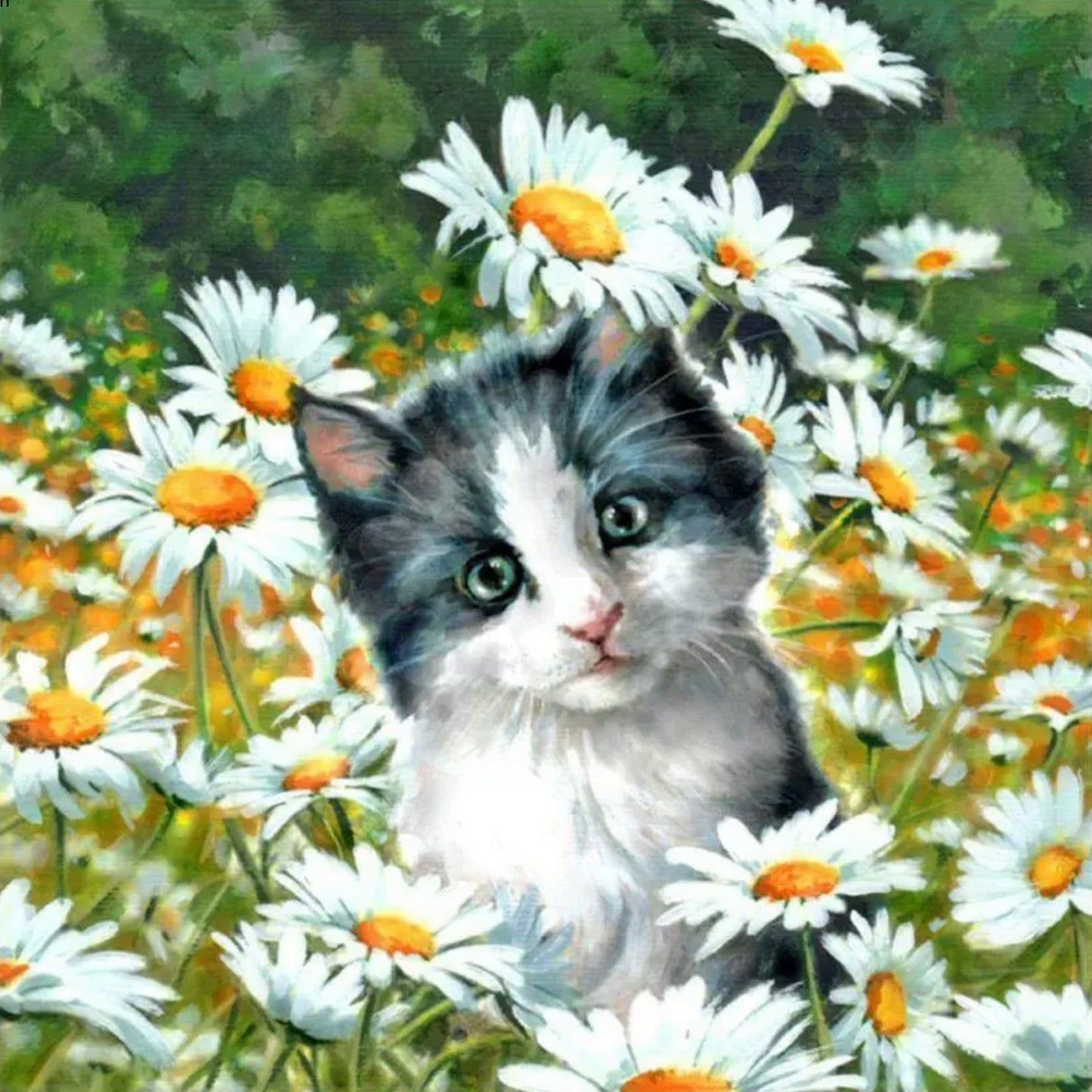 KITTEN IN THE DAISIES - Full Drill Diamond Painting - 30cm x 30cm