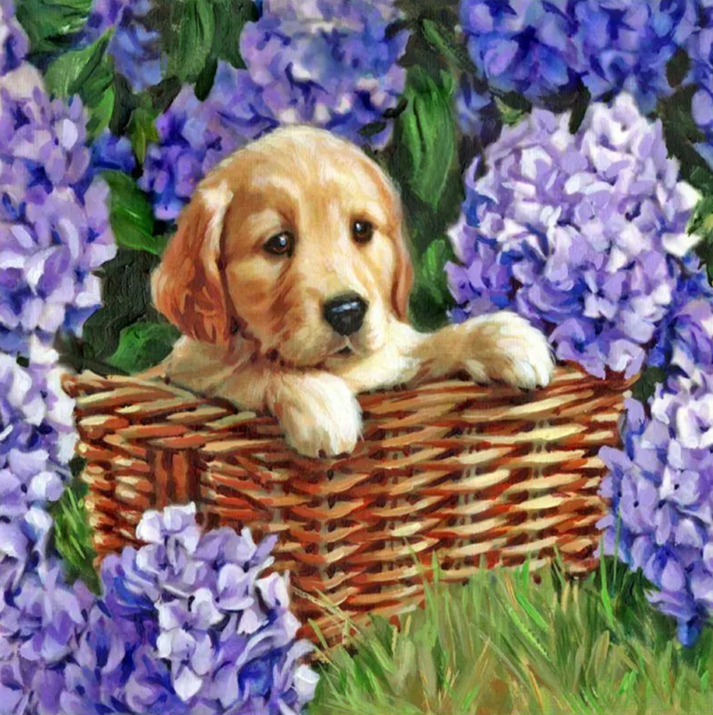 PUP IN A BASKET - Full Drill Diamond Painting - 30cm x 30cm