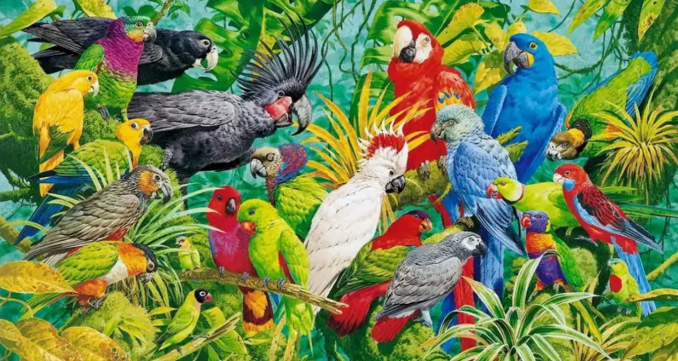 BIRDS OF A FEATHER FLOCK TOGETHER - Full Drill Diamond Painting - 70cm x 40cm
