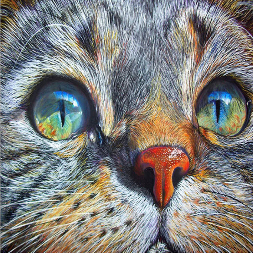 FACE OF A CAT- Full Drill Diamond Painting - 20cm x 20cm