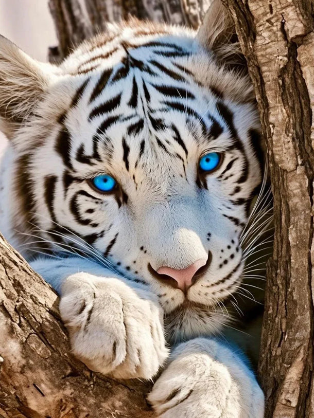 TIGER IN THE FORK OF THE TREE - 5D Full Drill Diamond Painting - 30cm x 40cm