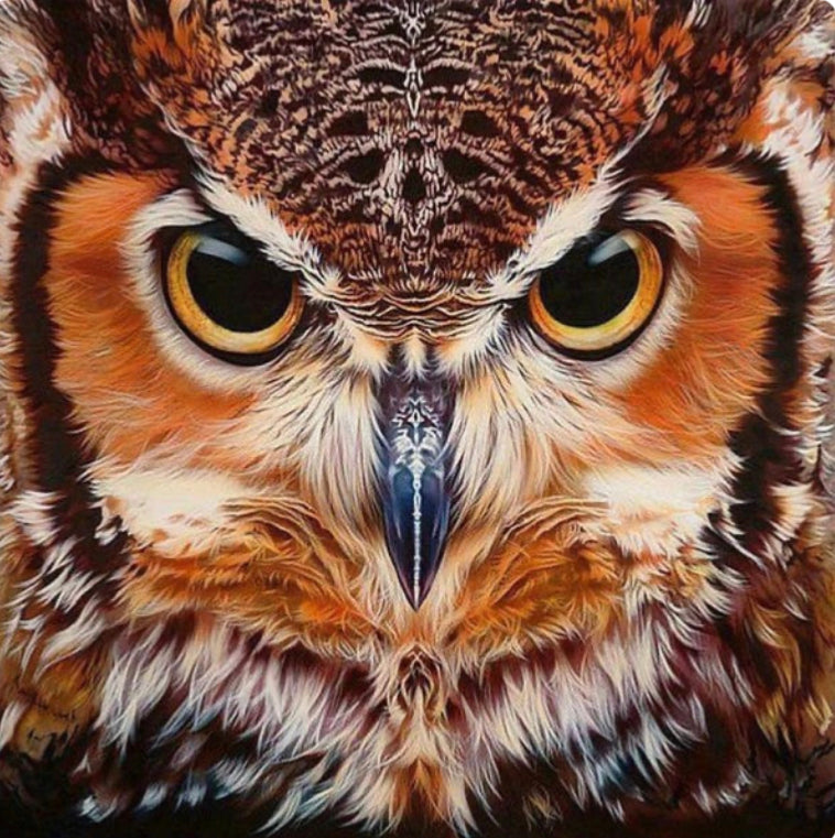 FACE OF AN OWL - Full Drill Diamond Painting - 20cm x 20cm