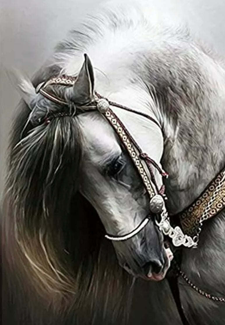 BRIDLED BEAUTY - Full Drill Diamond Painting - 30cm x 40cm