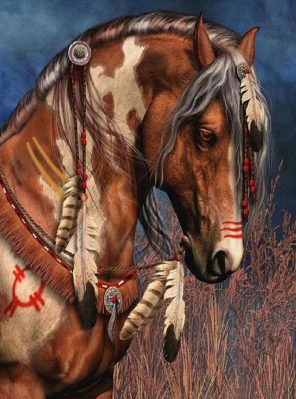 HORSE IN TRIBAL DRESS - Full Drill Diamond Painting - 50cm x 60cm