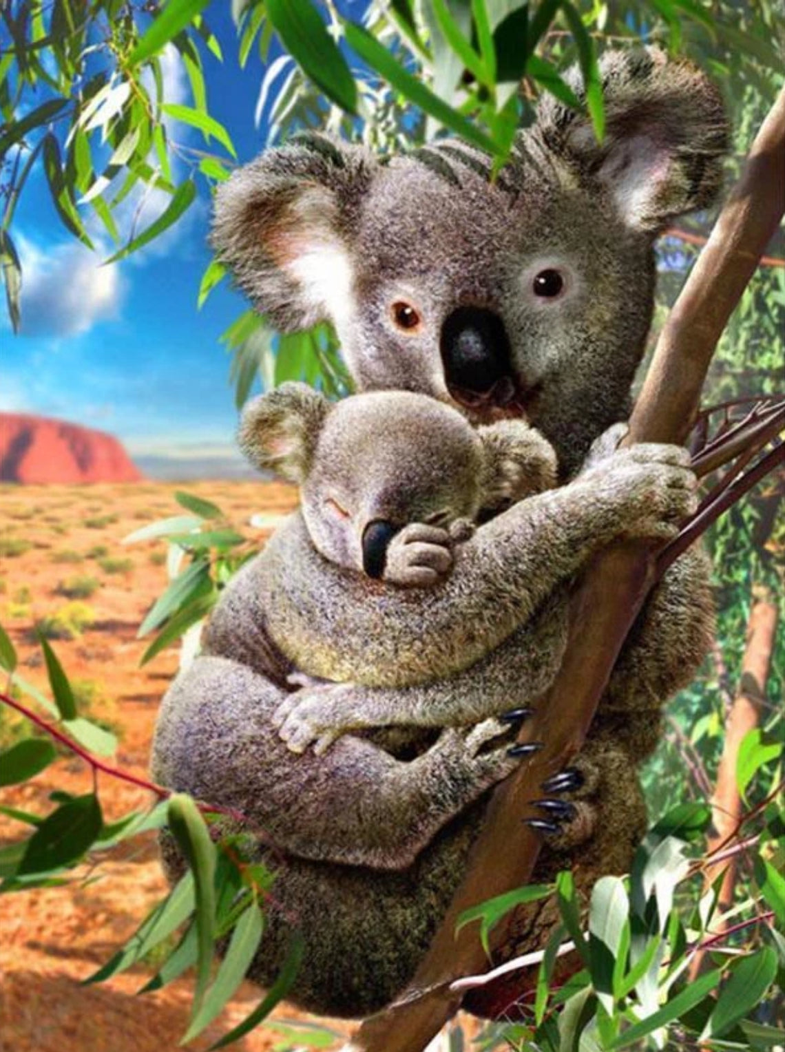 CUTE KOALA MUM & BUB - Full Drill Diamond Painting - 30cm x 40cm