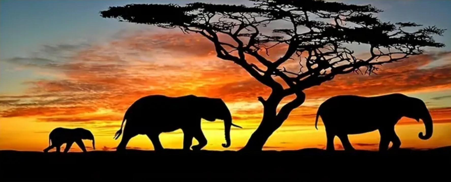 elephants landscape diamond painting