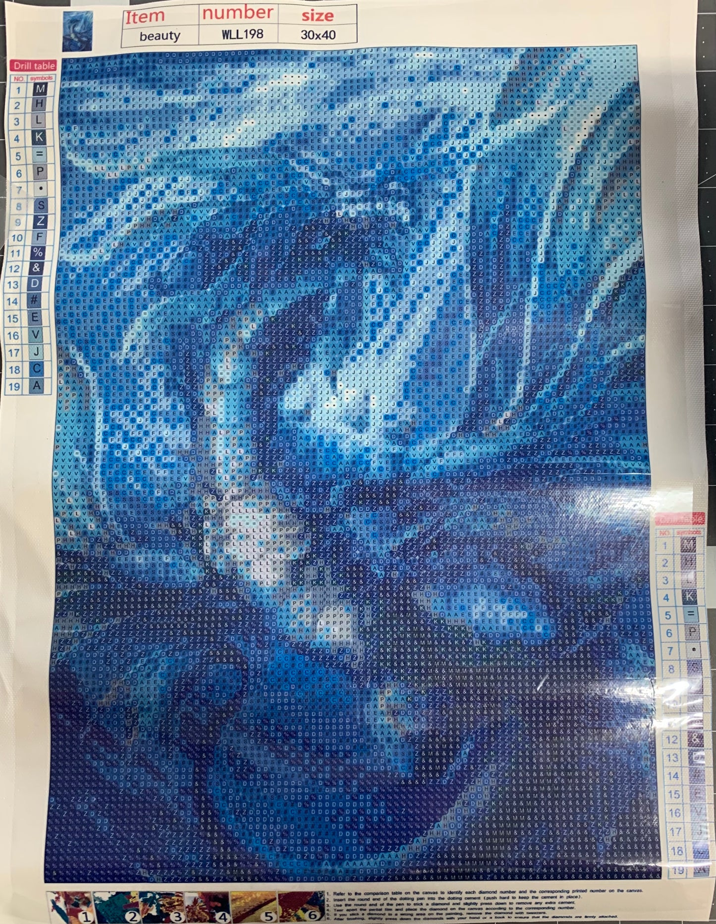 WATER DRAGON - Full Drill Diamond Painting - 25cm x 35cm