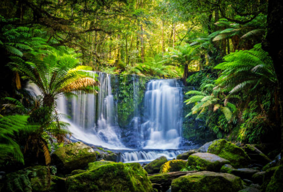 BEAUTIFUL WATERFALL AMIDST THE FORREST  - Full Drill Diamond Painting - 60cm x 40cm