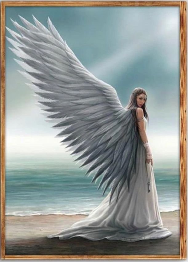 WINGED ANGEL - Full Drill Diamond Painting - 25cm x 35cm