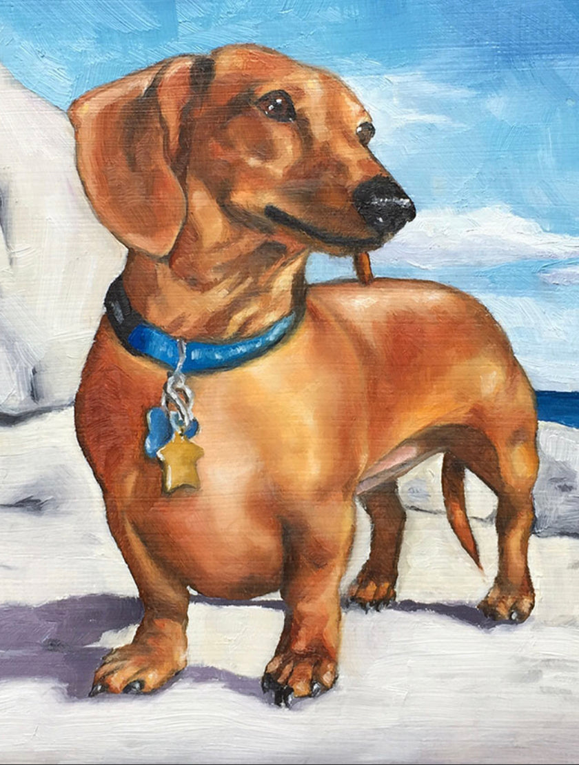 BROWN DACHSHUND - FULL Drill Diamond Painting - 30cm x 40cm