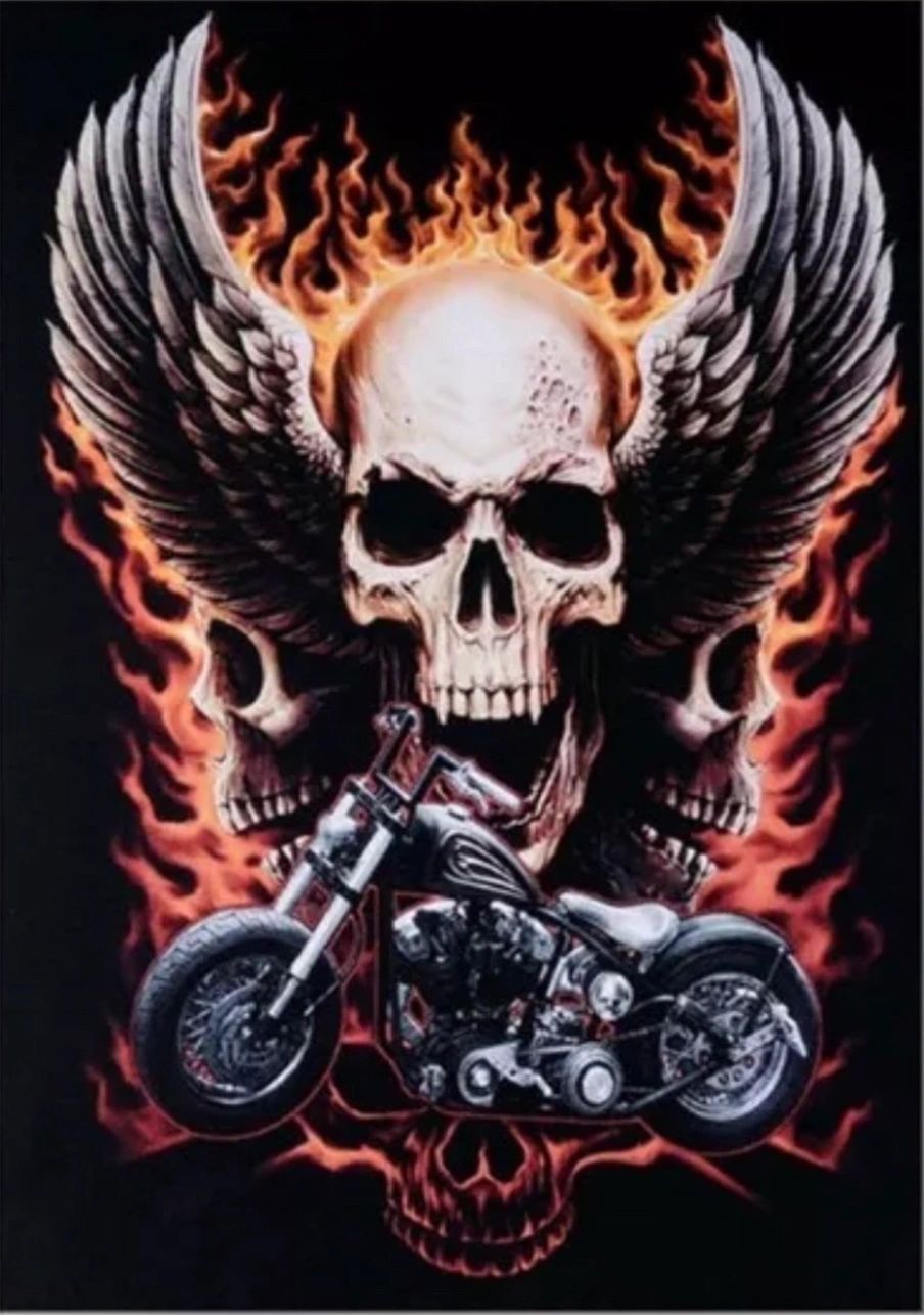 SKULL WINGS FIRE MOTORCYCLE - FULL Drill - 30cm x 40cm