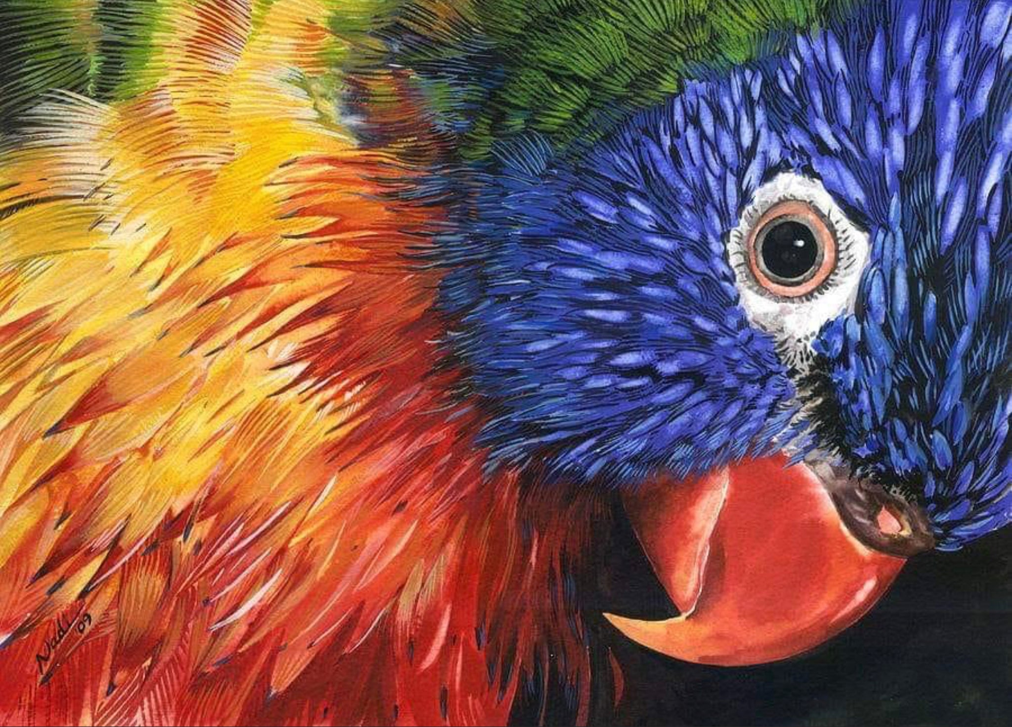 RAINBOW LORIKEET - FULL Drill Diamond Painting - 40cm x 30cm
